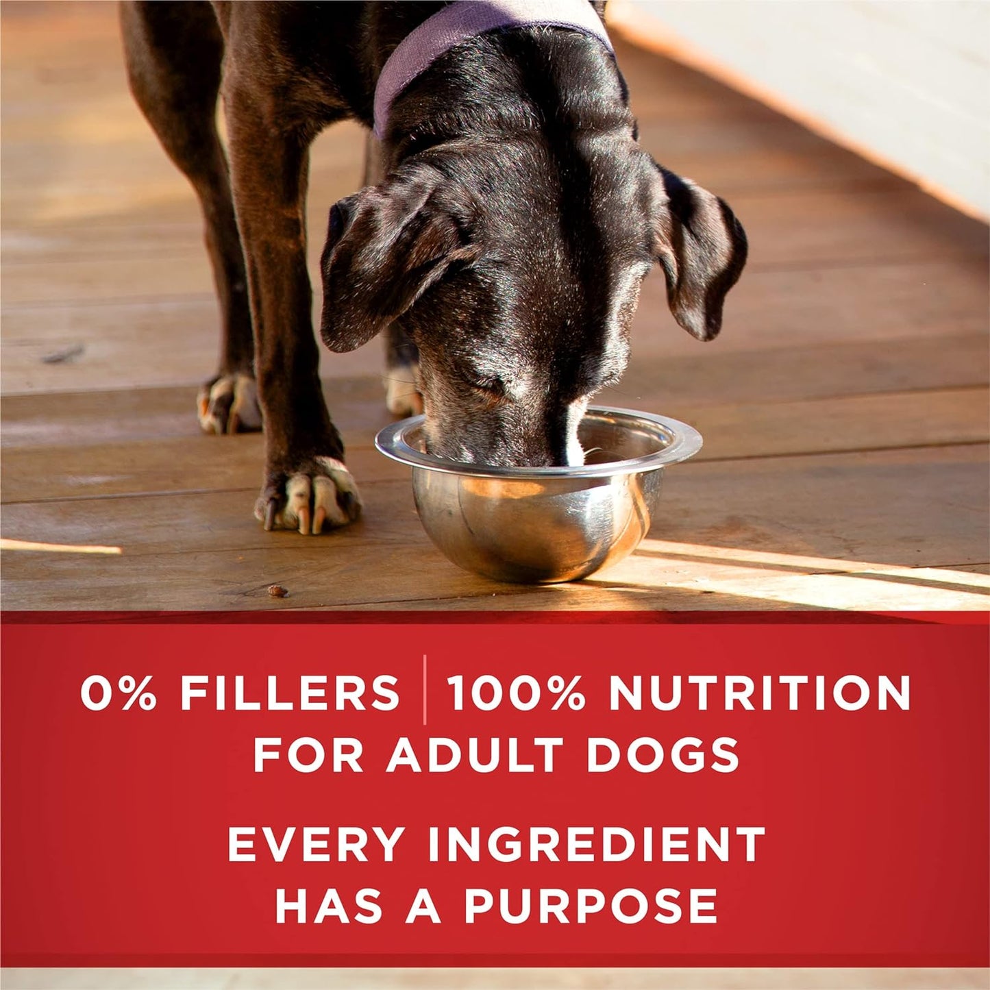 plus Classic Ground Vibrant Maturity Adult 7 plus Turkey and Barley Entree Senior Dog Food - (Pack of 12) 13 Oz. Cans
