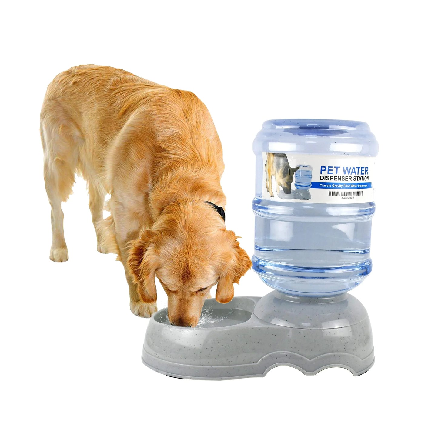 Automatic Pet Water Dispenser 1 and 3 Gallon Cat Water Dispenser and Cat Food