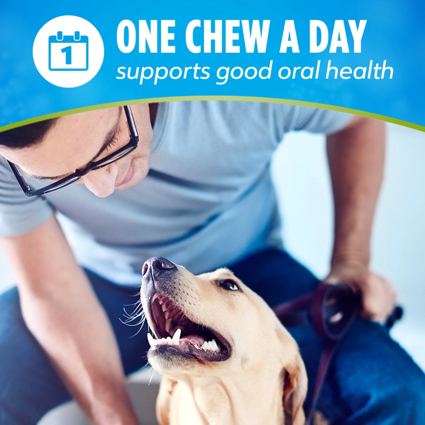 Purina Activfresh Chicken Flavor Large Breed Adult Dog Dental Chews – 24.1 Oz Pouch (21 Ct)
