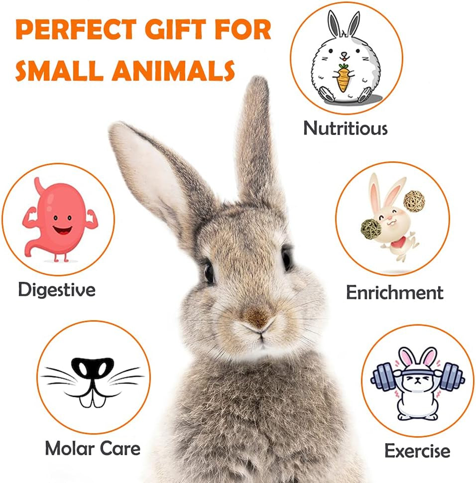 Rabbit Toys Bunny/Guinea Pig Toys Natural Timothy Hay Hamster for Teeth Handmade Chews and Treats Apple Wood Sticks Chinchilla Rat