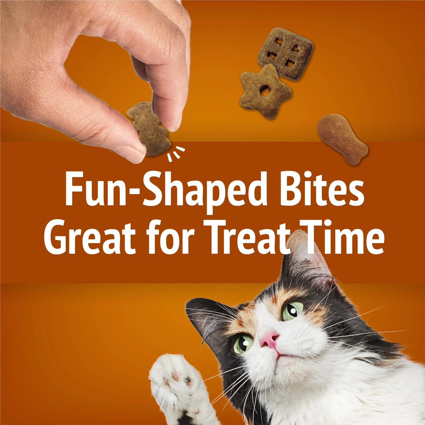 Purina Party Mix Cat Treats, Chicken Lover Crunch, 20 Oz Canister