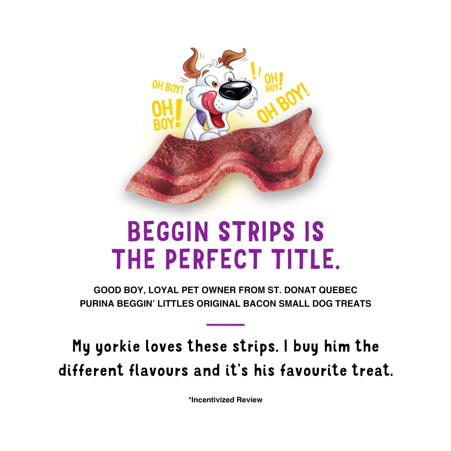 Purina Strips Small Dog Treats Fun Size Original with Bacon Flavor Tender Chews, 6 Oz Pouch