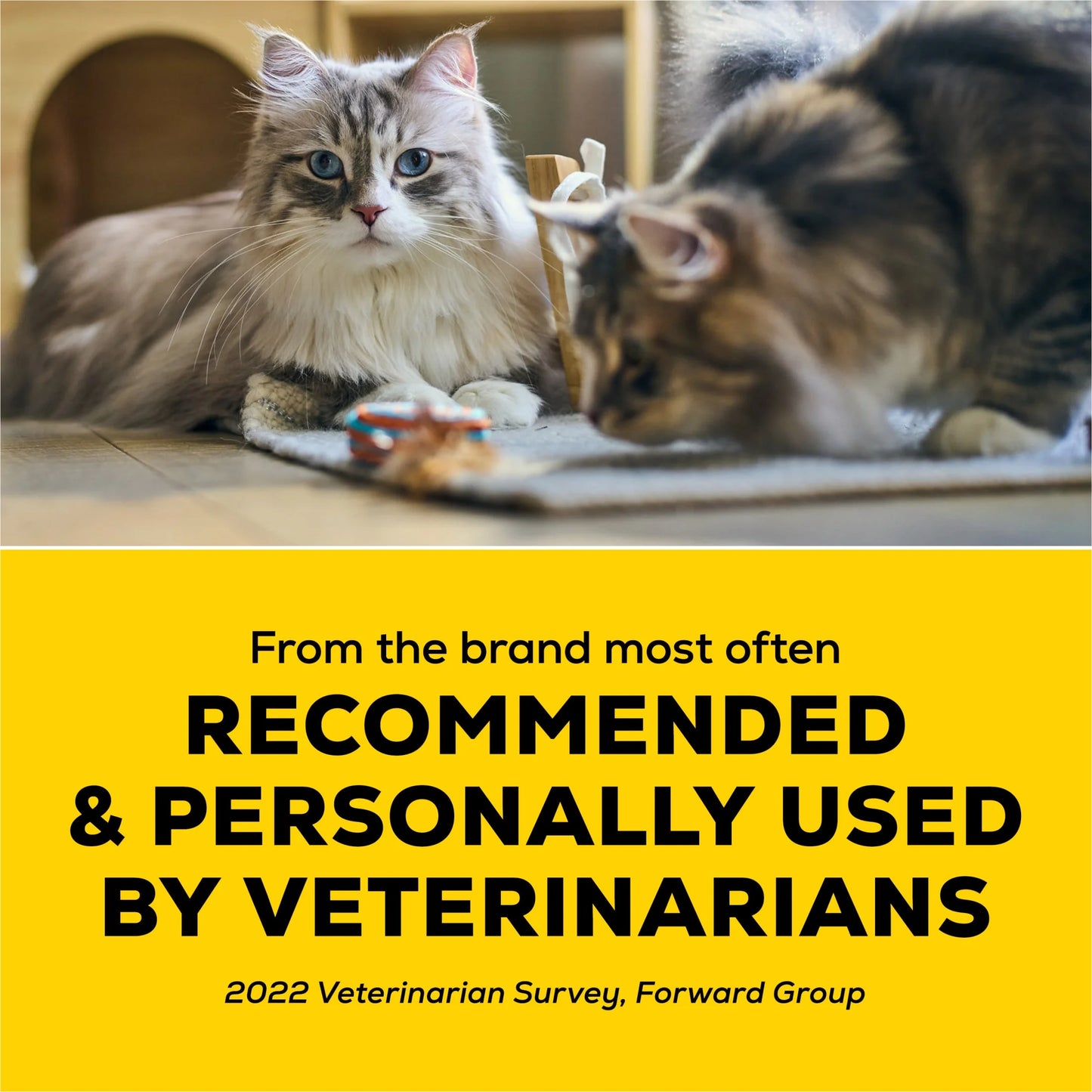 (2 Pack) Purina Lightweight Clumping Cat Litter, Unscented, Low Dust,24/7 Odor Control, 8.5 Lb. Jug