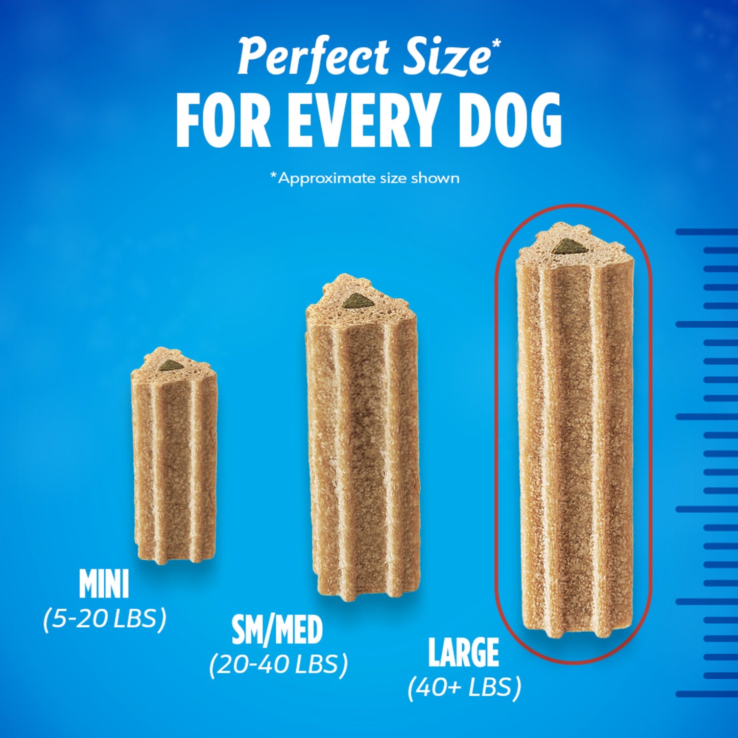 Purina Activfresh Chicken Flavor Large Breed Adult Dog Dental Chews – 24.1 Oz Pouch (21 Ct)
