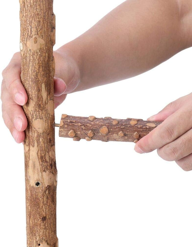 Bird Perch Nature Wood Stand for 3-4Pcs Small Parrots (M)