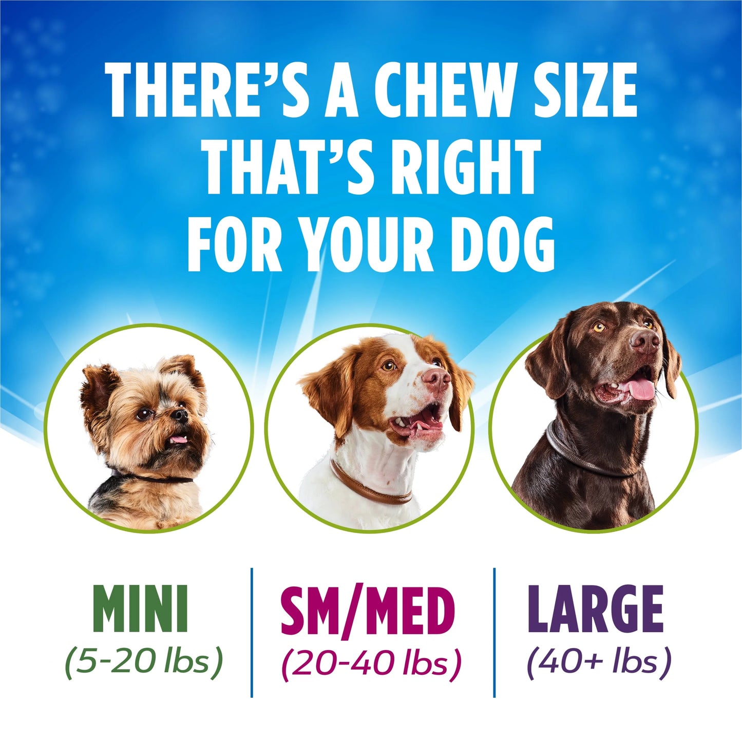 Activfresh Small & Medium Dog Treats with Chicken Chews, 15.5 Oz Pouch (21 Count)