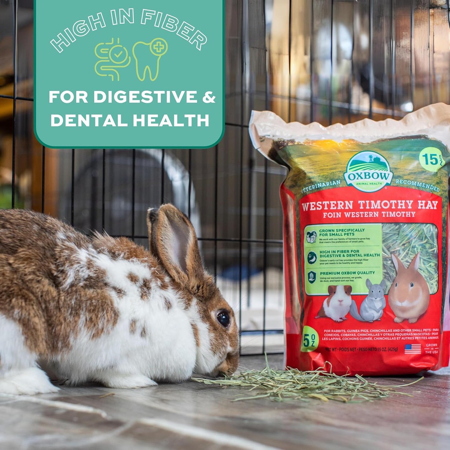 Animal Health Western Timothy Hay, Guinea Pig Hay, Small Pet Bunny Supplies, All Natural Grass for Guinea Pig, Bunny, Chinchilla & Hamster, Rabbit Supplies for Bunnies, 9 Lb Box