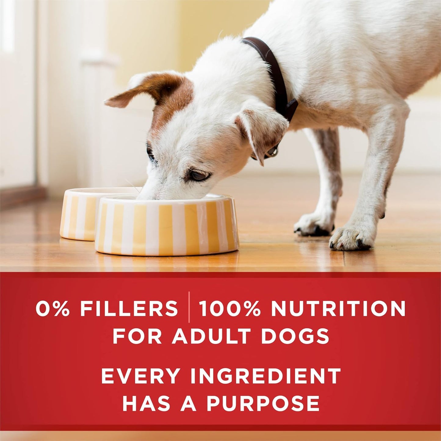 Tender Cuts in Wet Dog Food Gravy Chicken and Brown Rice Entree - (Pack of 12) 13 Oz. Cans