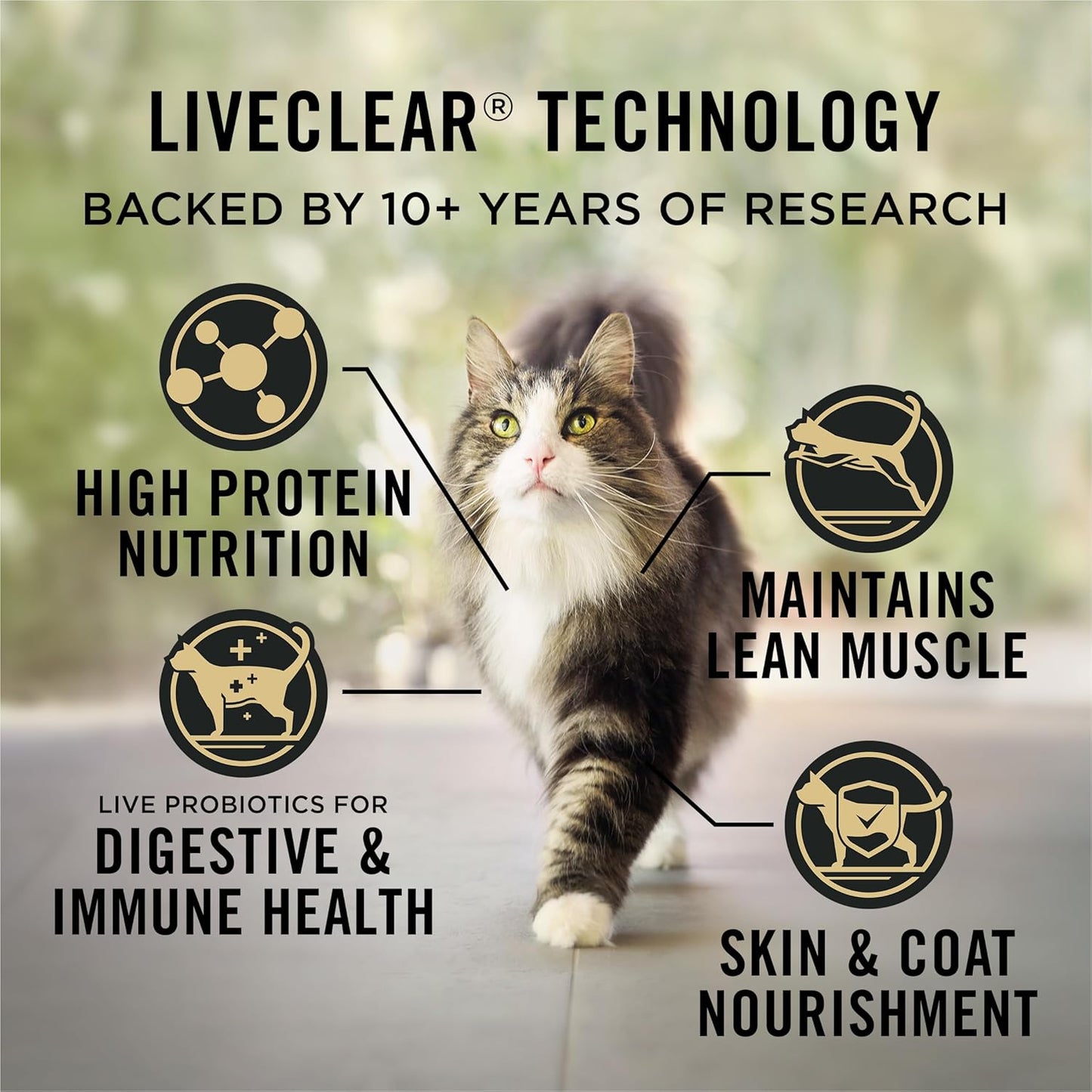Indoor Cat Food Liveclear Cat Allergen Reducing Turkey and Rice Formula - 3.2 Lb. Bag