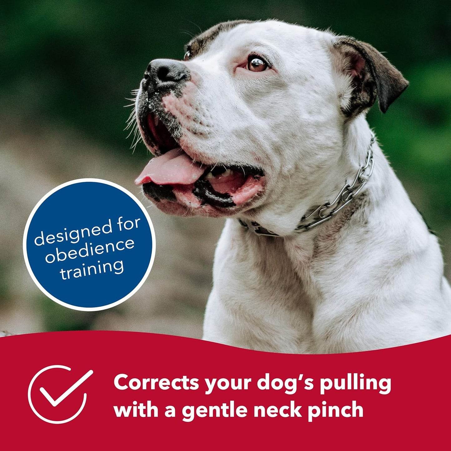 - Ultra-Plus Prong Dog Training Collar - Chrome - 3.8 Mm X 22" Neck Size; 25" Chain Length