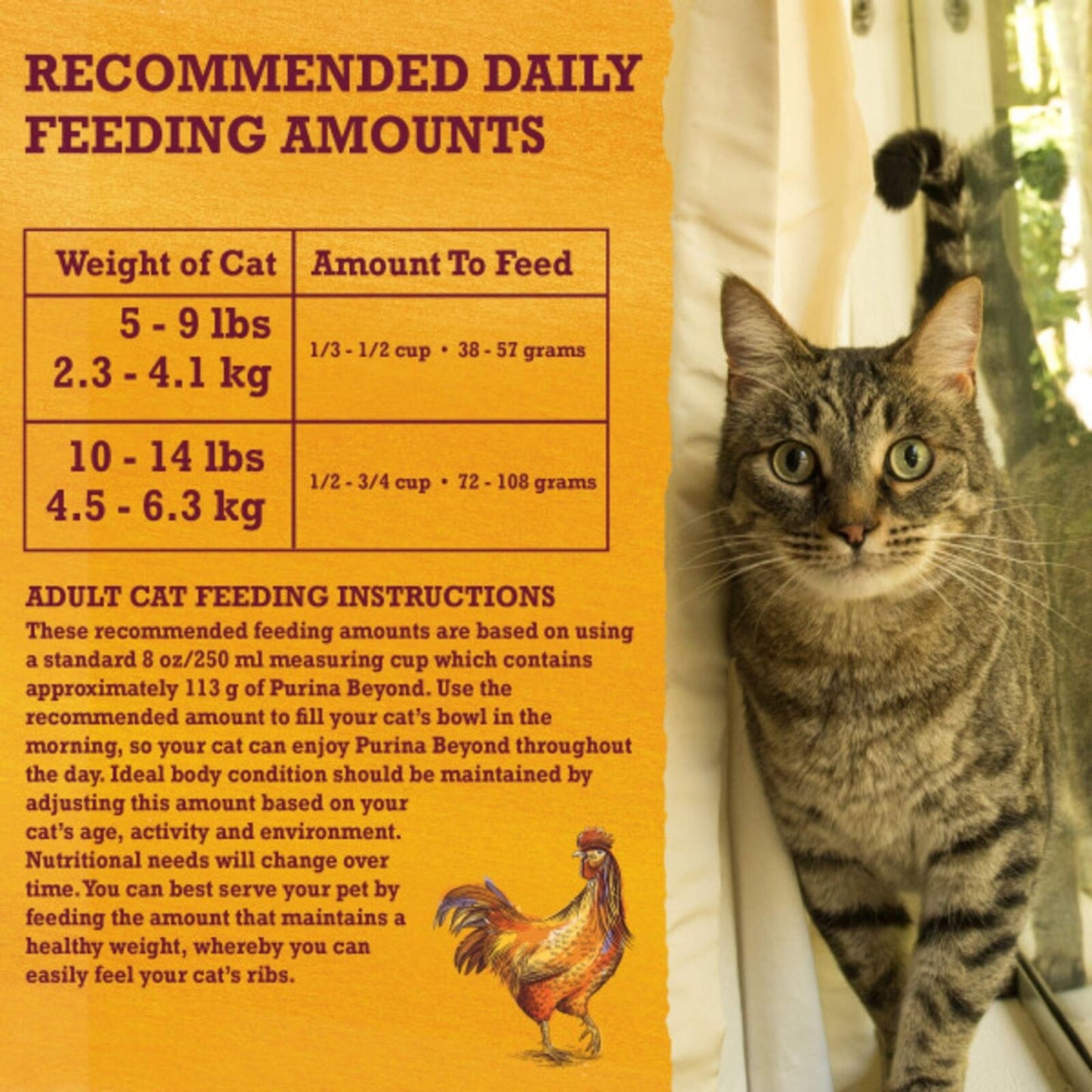Purina beyond Grain Free, Natural Dry Cat Food, Grain Free White Meat Chicken...