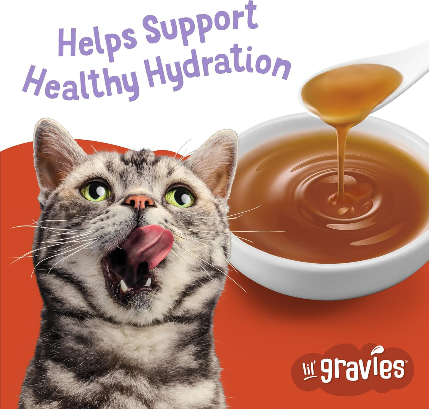Purina Lil' Gravies Roasted Turkey Flavor Cat Food Lickable Cat Treats - (Pack of 16) 1.55 Oz. Pouches