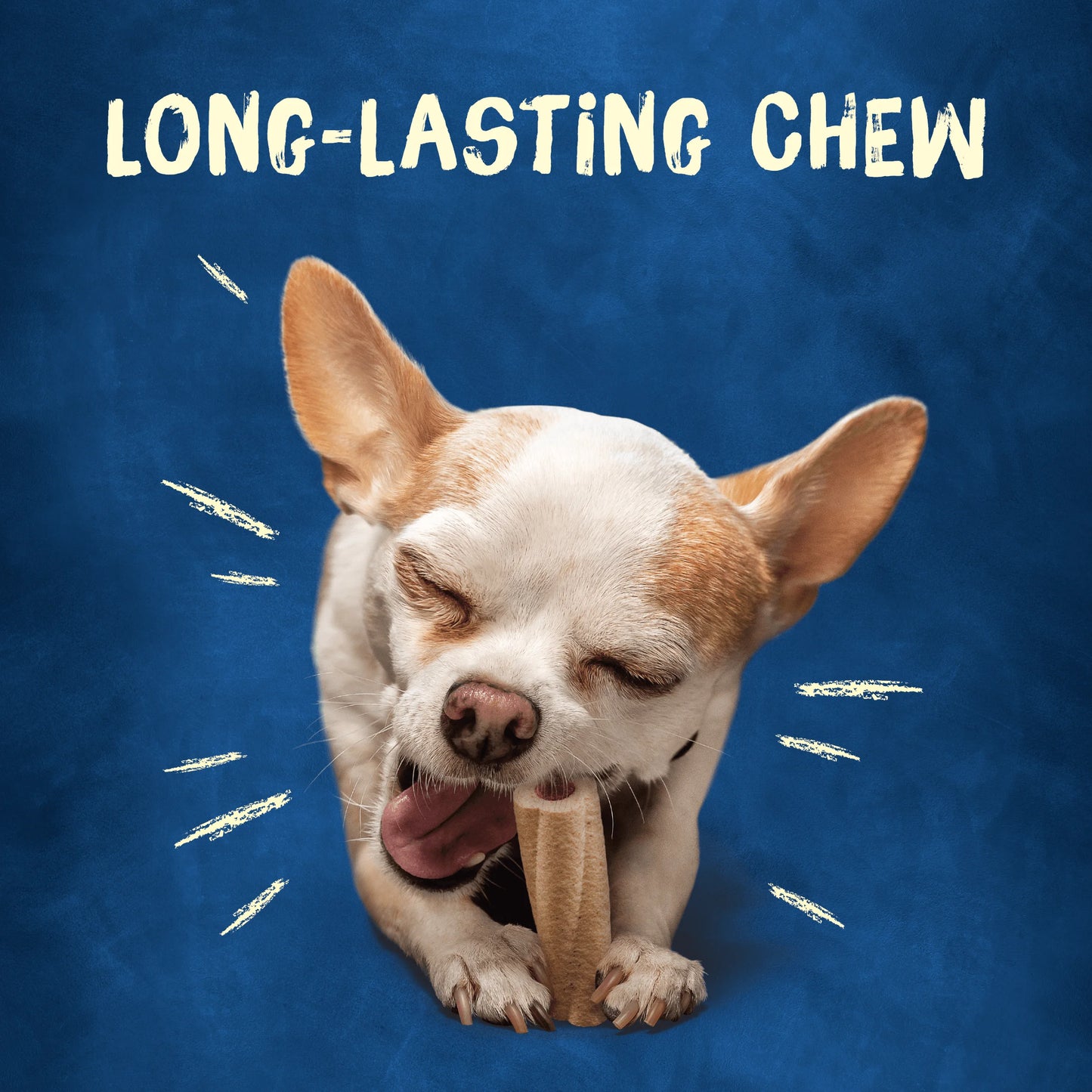 Purina Extra Small Dog Treats with Real Pork, Long-Lasting Chews, 6.5 Oz Pouch (10 Count)