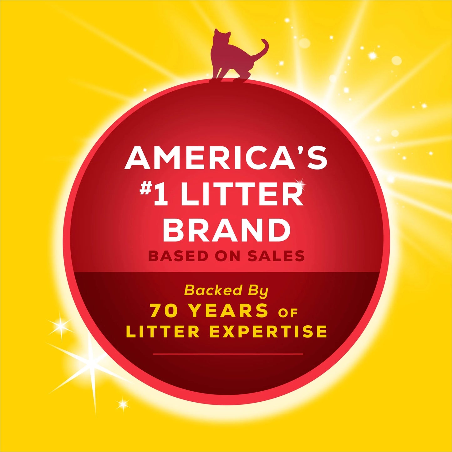 (2 Pack) Purina Lightweight Clumping Cat Litter, Unscented, Low Dust,24/7 Odor Control, 8.5 Lb. Jug