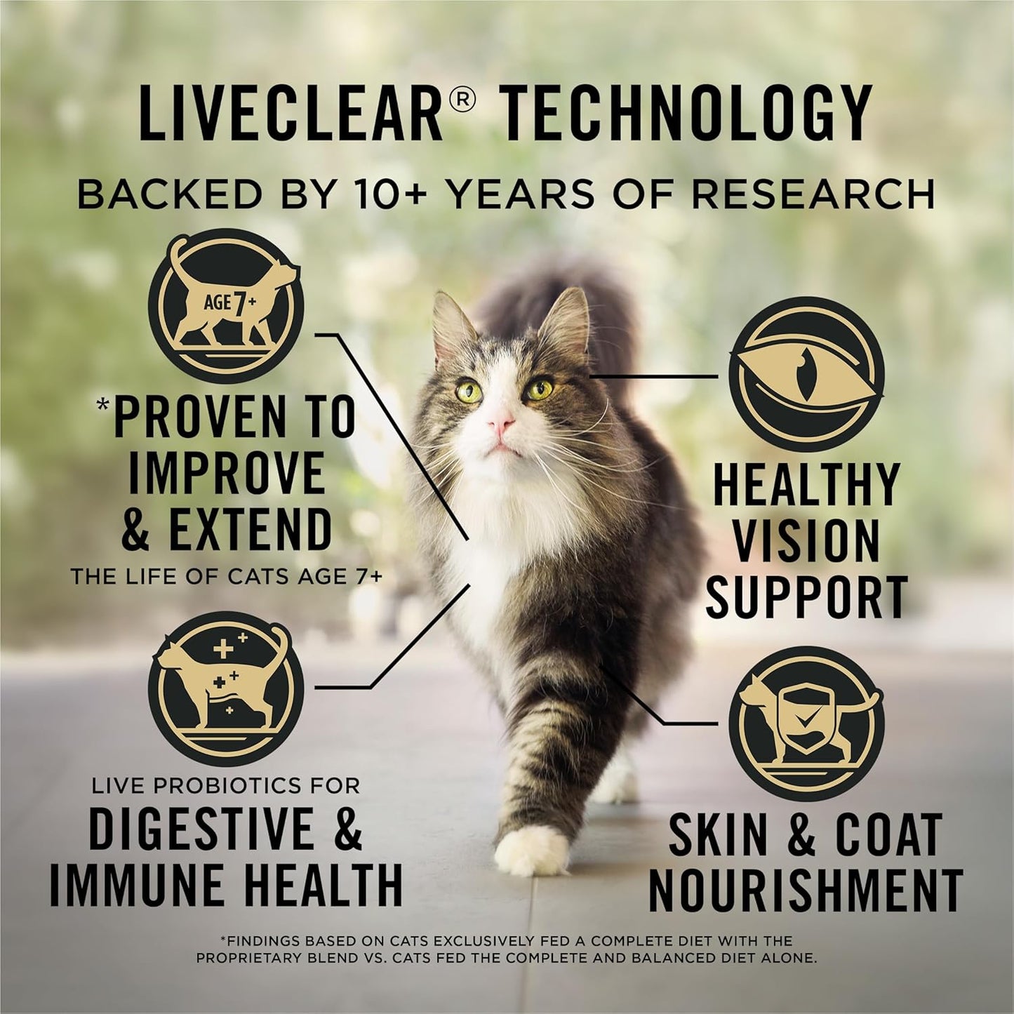 Liveclear Cat Food 7+ Cat Allergen Reducer Chicken and Rice Formula - 5.5 Lb. Bag