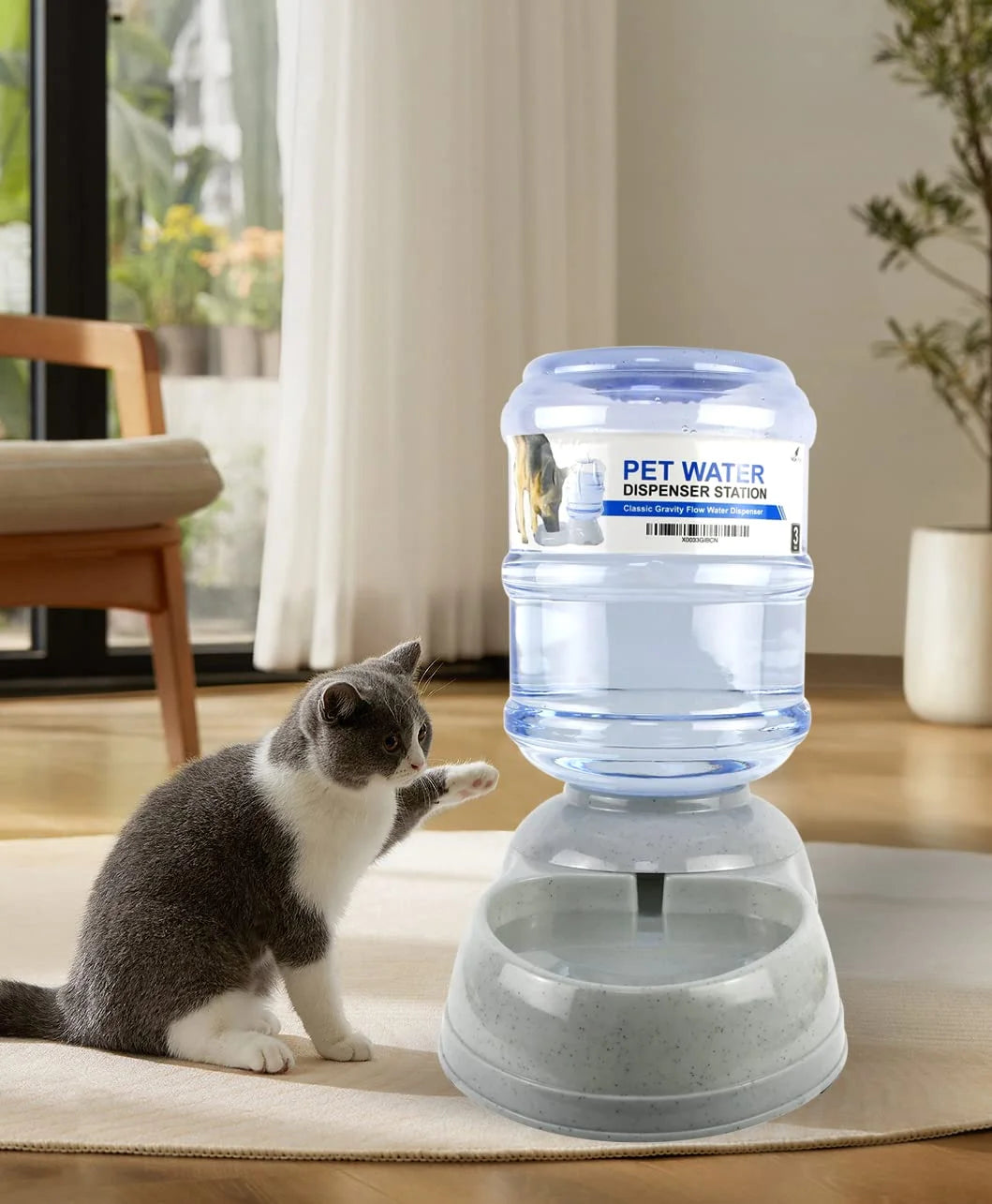 Automatic Pet Water Dispenser 1 and 3 Gallon Cat Water Dispenser and Cat Food