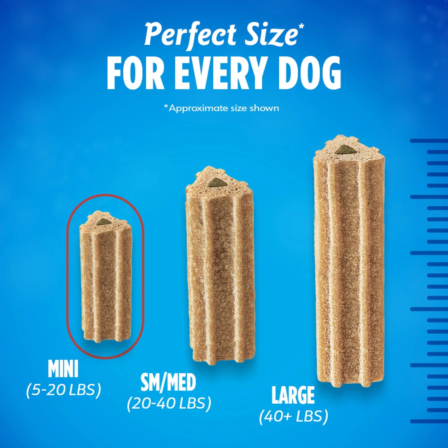 Purina Activfresh Mini Dog Treats Dental Chews with Chicken, 6.1 Oz Pouch (4 Count)