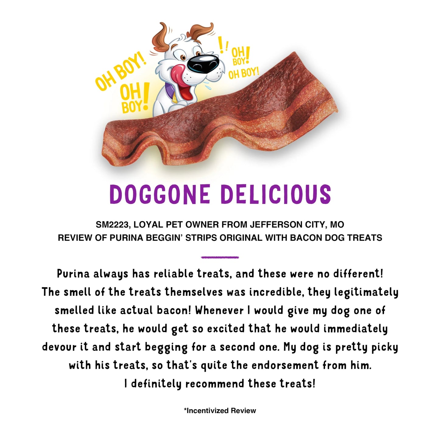 Purina Strips Dog Treats Original with Real Bacon Flavor Tender Chews, 25 Oz Pouch