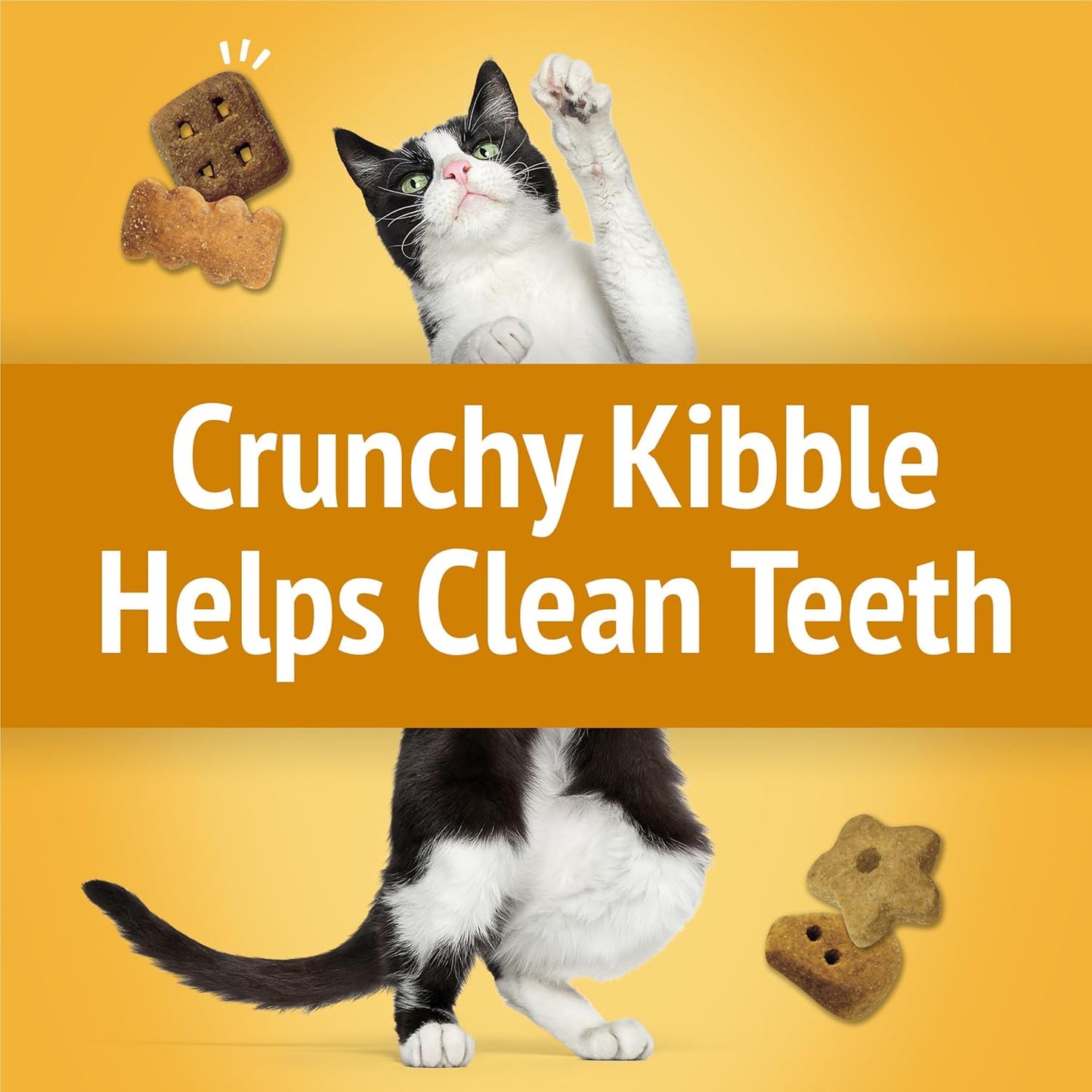Purina Cat Treats, Party Mix Cheezy Craze Crunch - (Pack of 10) 2.1 Oz. Pouches