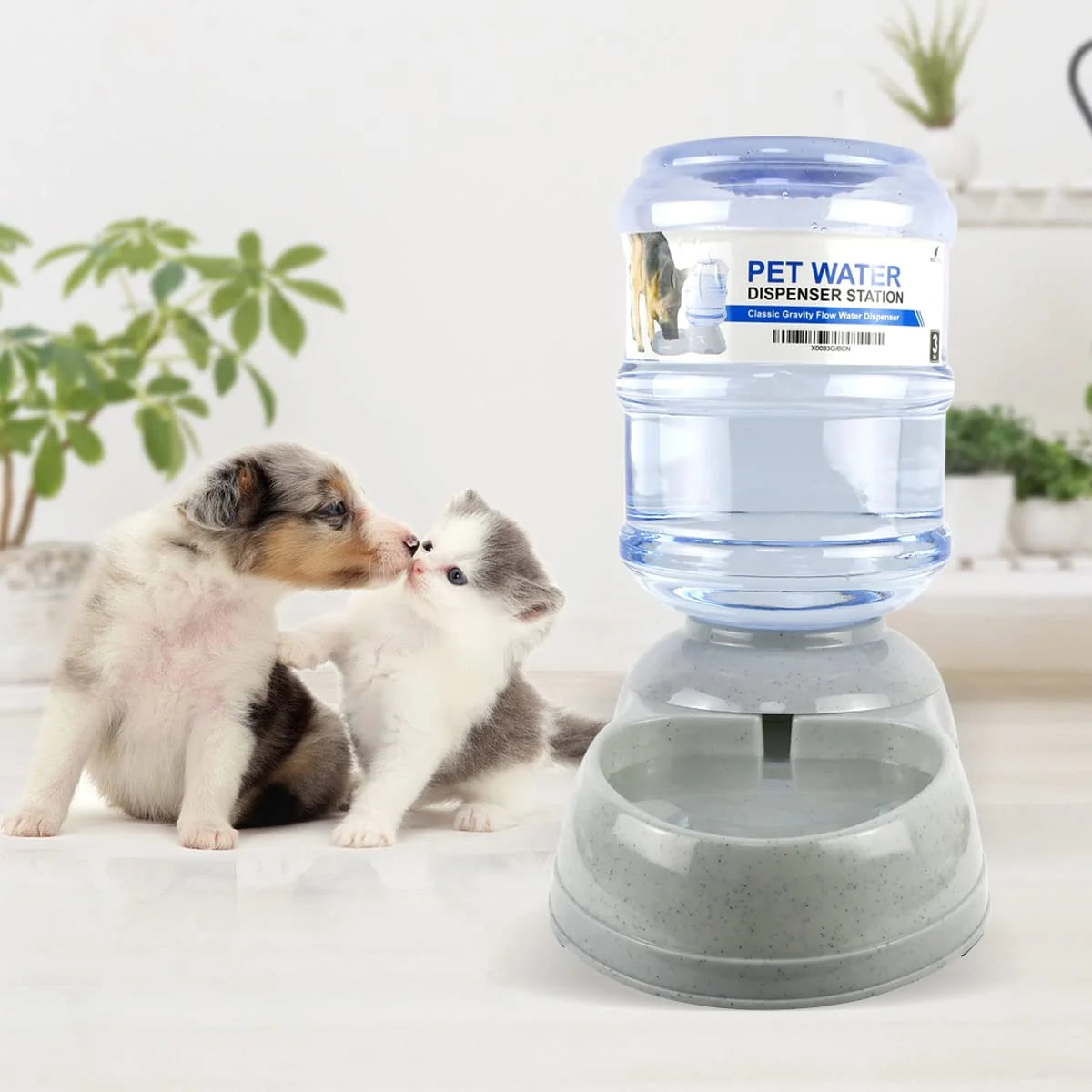Automatic Pet Water Dispenser 1 and 3 Gallon Cat Water Dispenser and Cat Food