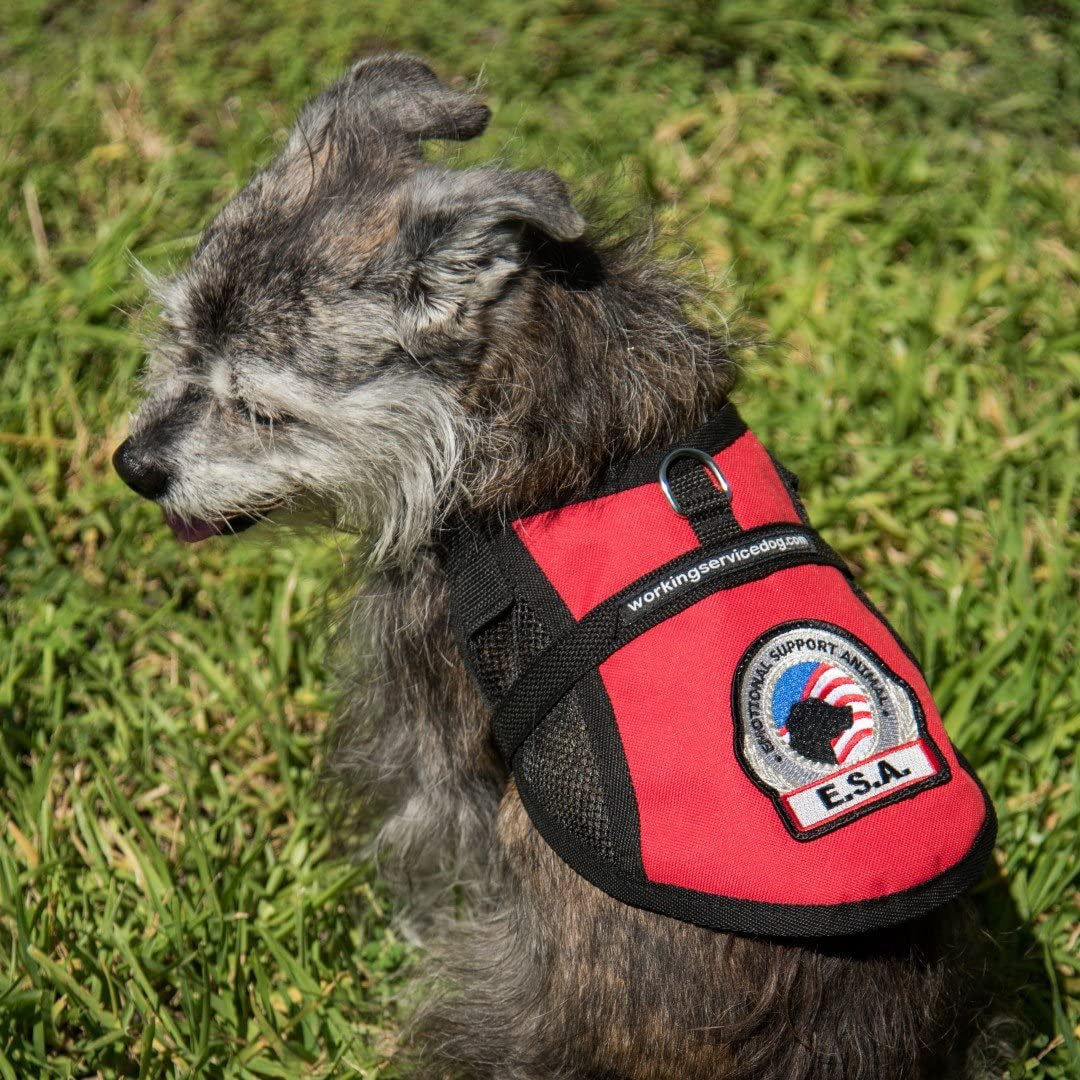 Premium Emotional Support Dog Vest | ESA Dog Vest | Mesh Cooling Panel | Emotional Support Dog Harness | Includes 5 Federal Law ESA Handout Cards (14" - 17" Girth, Red)