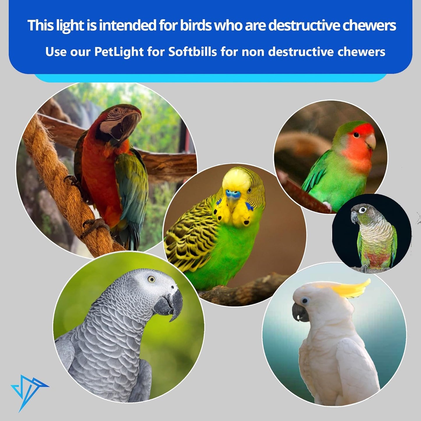 - Bird Cage Light for Soft Bill & Hook Bill Birds- Full Spectrum LED Pet Lamp (24" Hookbill Light)