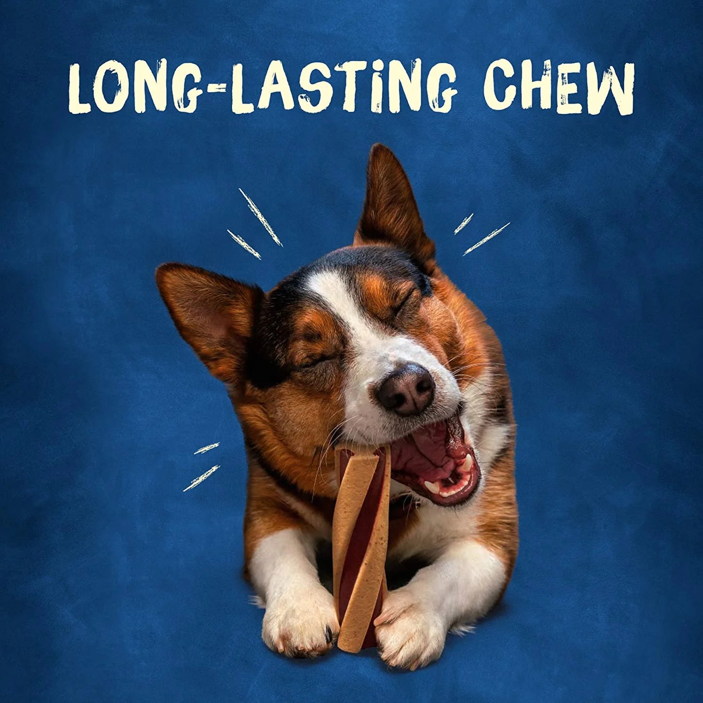 Busy with Beggin' Made in USA Facilities Small/Medium Breed Dog Treats, Twist'D - 10 Ct. Pouch (038100172556)
