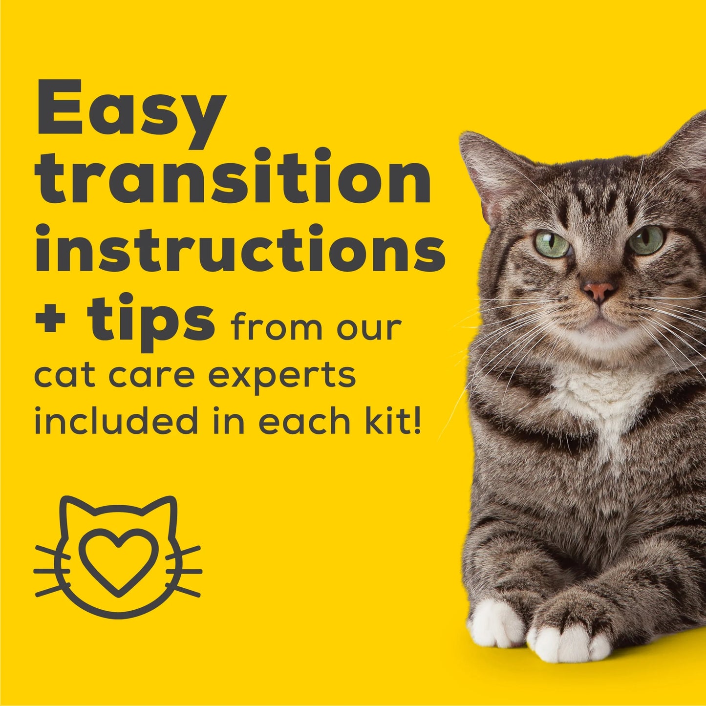 Purina Breeze Cat Litter Box Starter Kit XL, Absorbent Pads, & Pellets, Low Dust, 1 Kit