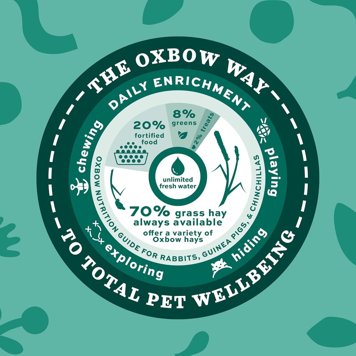 Animal Health Western Timothy Hay, Guinea Pig Hay, Small Pet Bunny Supplies, All Natural Grass for Guinea Pig, Bunny, Chinchilla & Hamster, Rabbit Supplies for Bunnies, 9 Lb Box