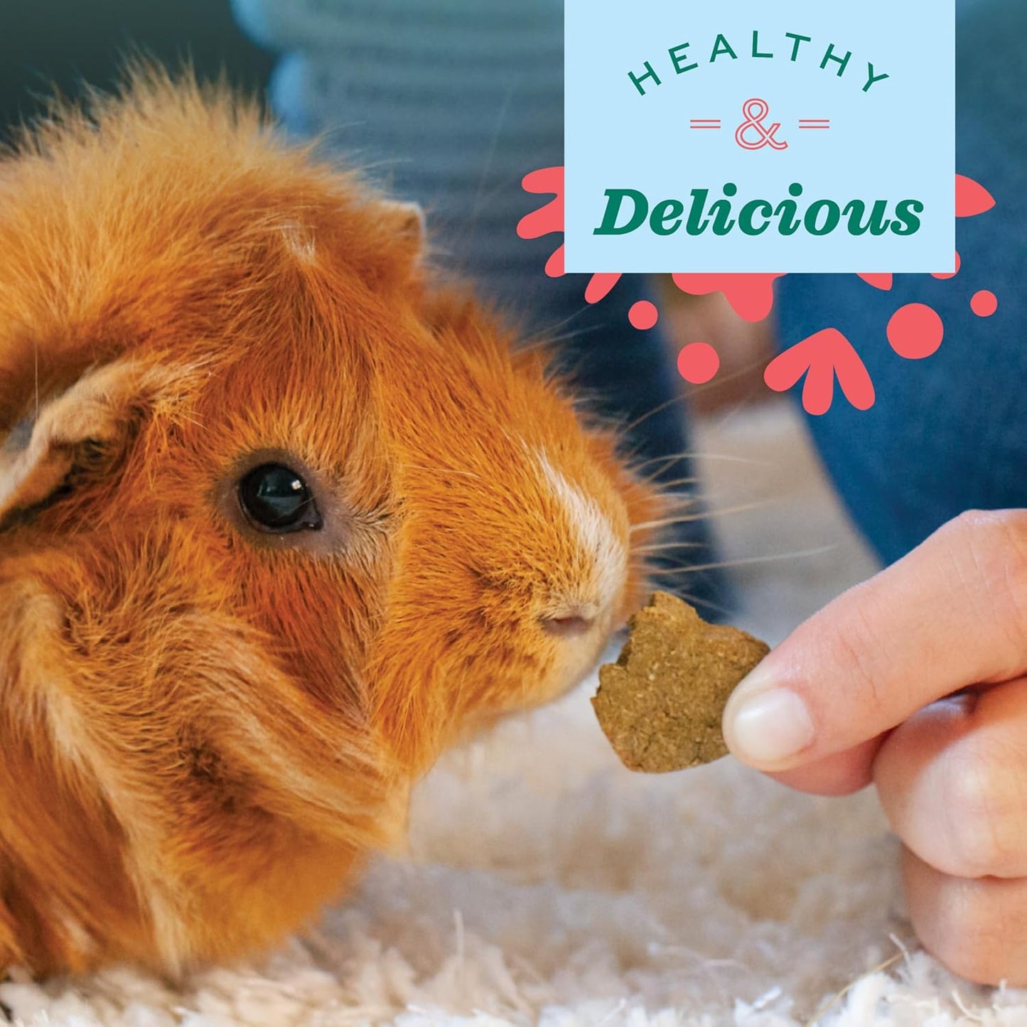 Animal Health Simple Rewards Barley Biscuit Treats, Barley Guinea Pig & Bunny Treats, Pet Snack for Rabbit, Carrot, Apple, Made with Guinea Pig Hay, Alfalfa for Rabbit, 2.65 Oz Bag