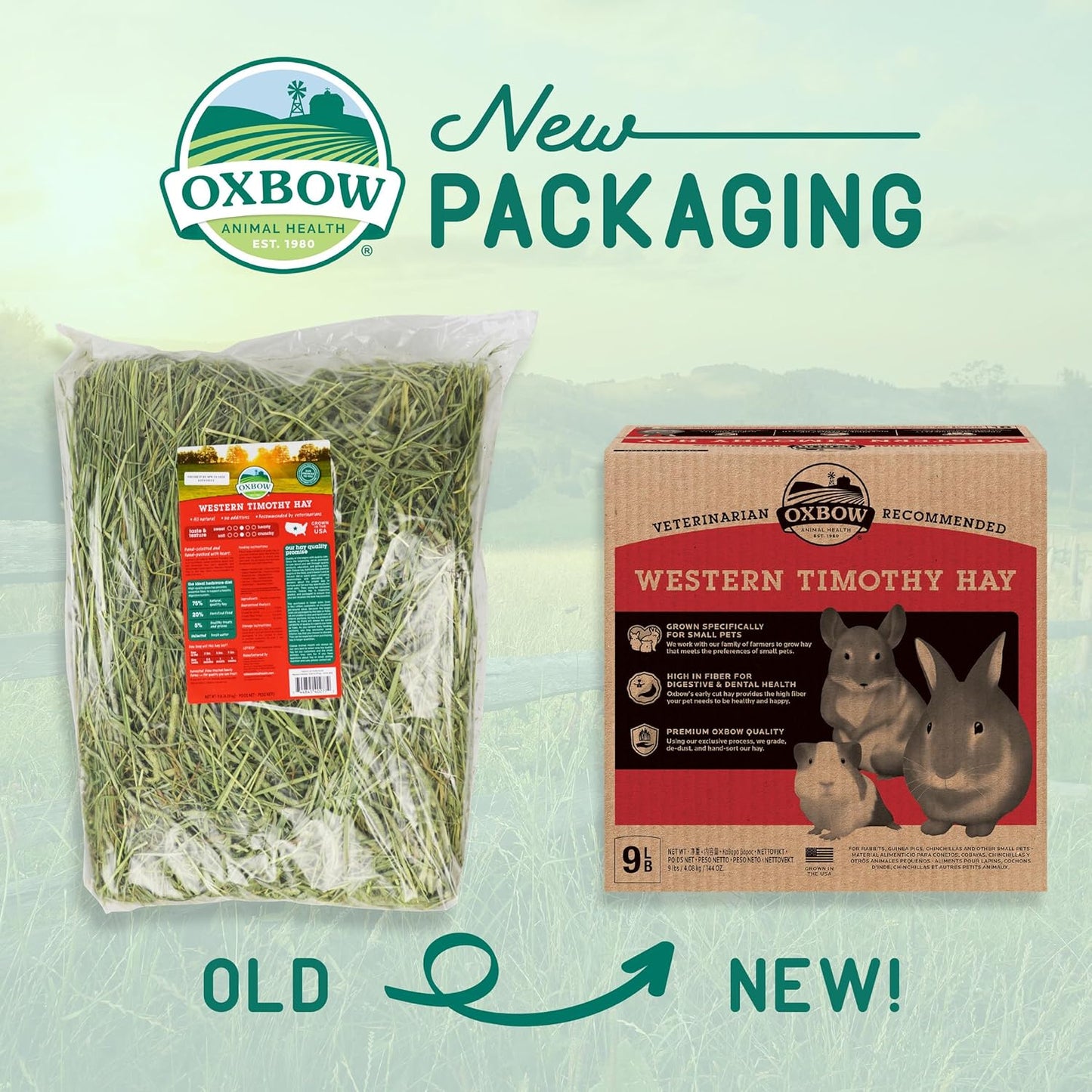 Animal Health Western Timothy Hay, Guinea Pig Hay, Small Pet Bunny Supplies, All Natural Grass for Guinea Pig, Bunny, Chinchilla & Hamster, Rabbit Supplies for Bunnies, 9 Lb Box