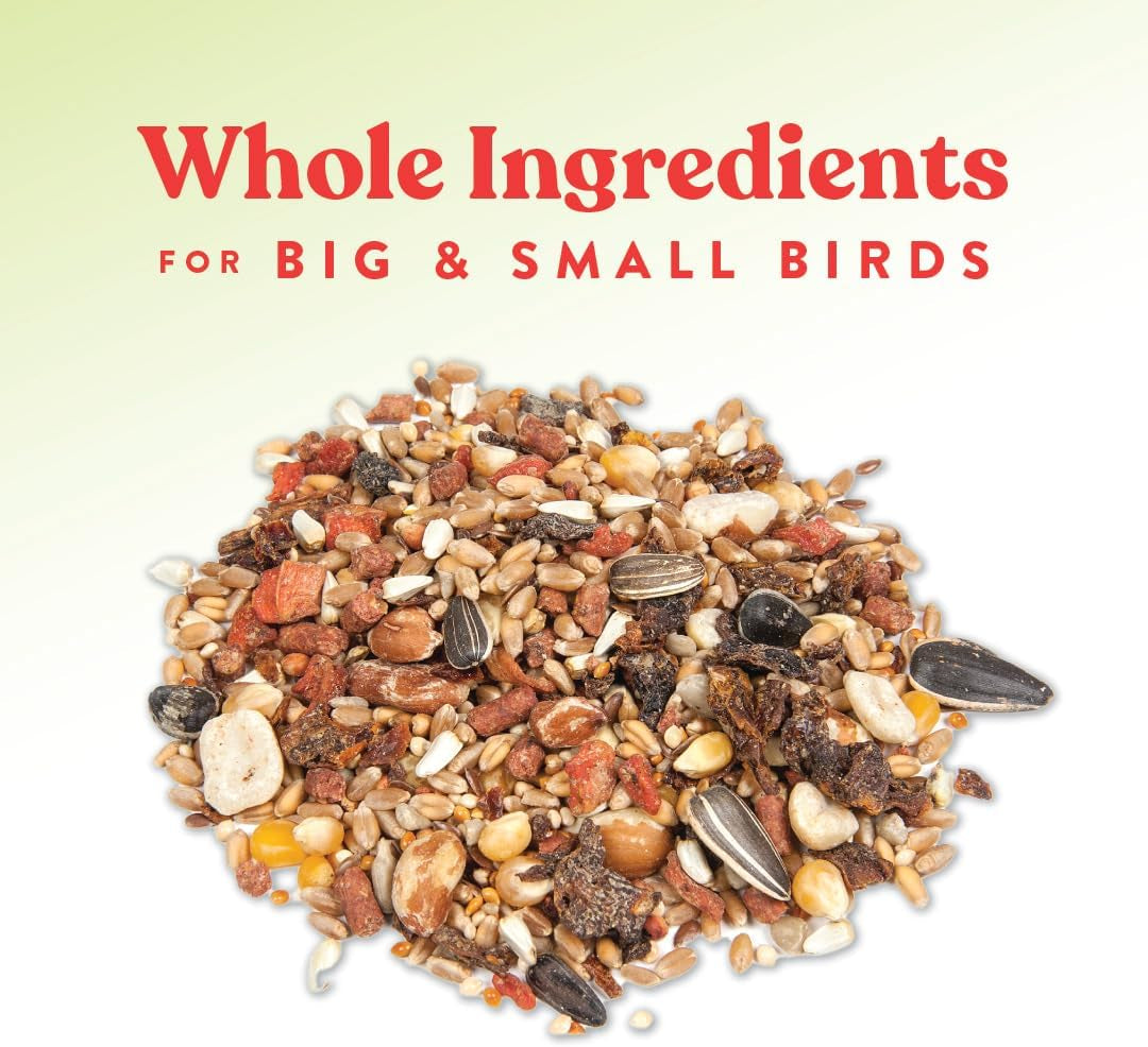 0013690219 Harvest Delight Poultry Treat for Chicken, 2.5-Pound