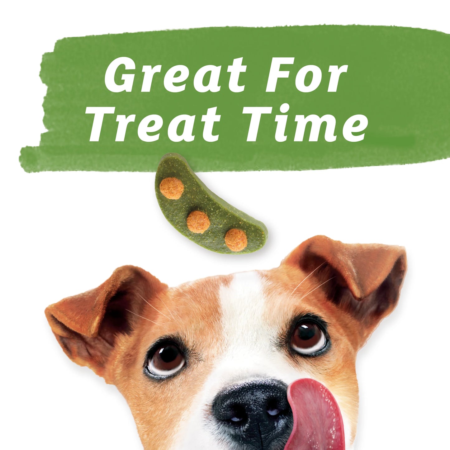 (2 Pack) Dog Training Treats for Dogs, Baked Delights Snackers