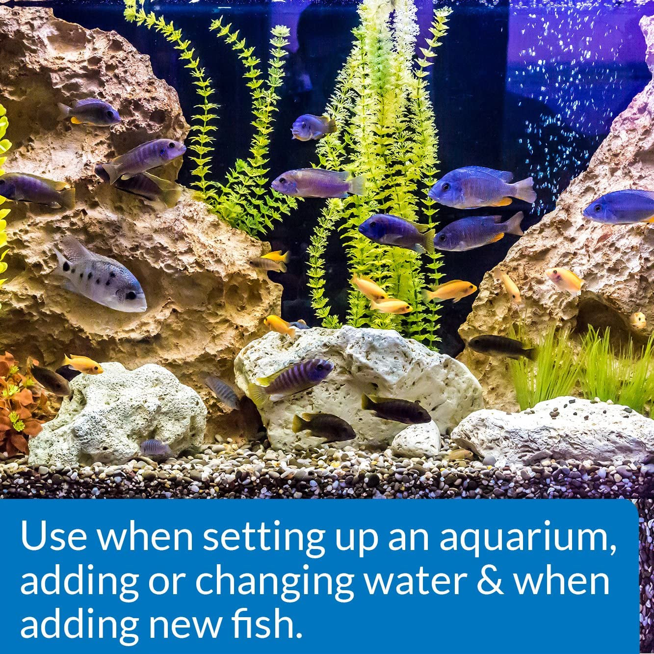 QUICK START Freshwater and Saltwater Aquarium Nitrifying Bacteria 16-Ounce Bottle
