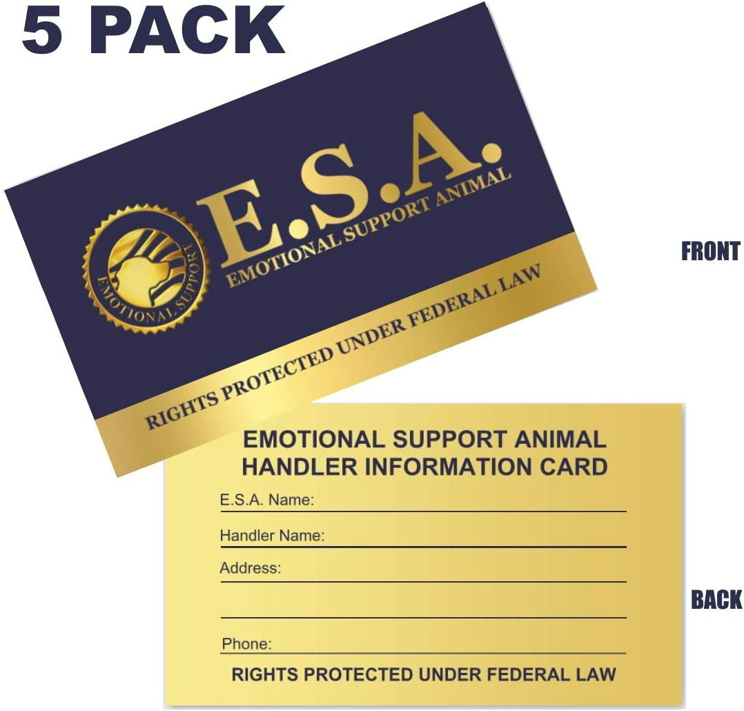 Premium Emotional Support Dog Vest | ESA Dog Vest | Mesh Cooling Panel | Emotional Support Dog Harness | Includes 5 Federal Law ESA Handout Cards (14" - 17" Girth, Red)