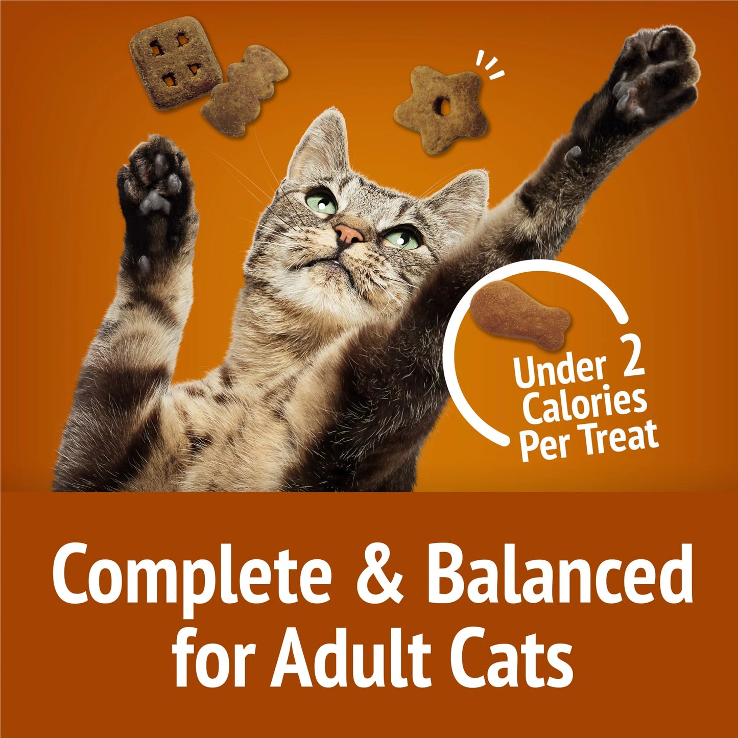 Purina Party Mix Cat Treats, Chicken Lover Crunch, 20 Oz Canister