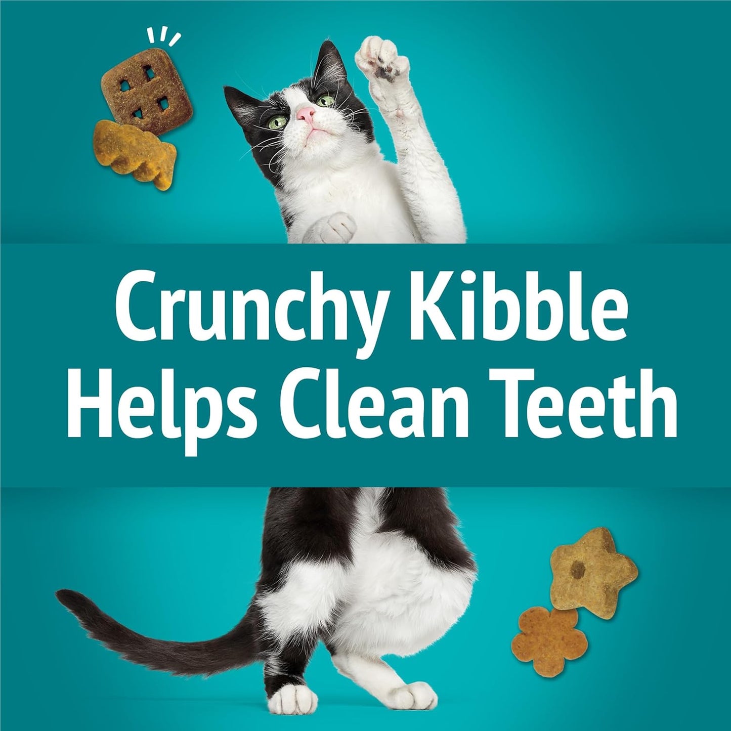 Purina Cat Treats, Party Mix Meow Luau Crunch - (Pack of 10) 2.1 Oz. Pouches