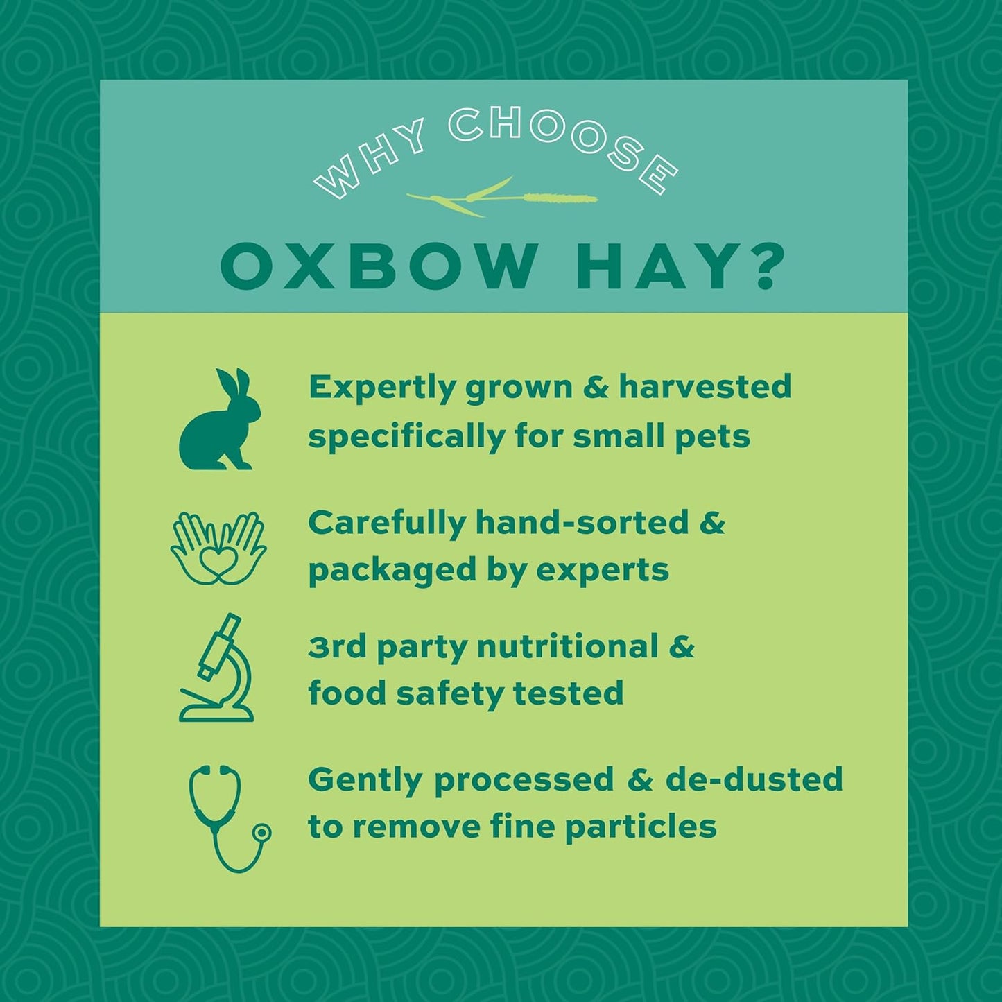 Animal Health Western Timothy Hay, Guinea Pig Hay, Small Pet Bunny Supplies, All Natural Grass for Guinea Pig, Bunny, Chinchilla & Hamster, Rabbit Supplies for Bunnies, 9 Lb Box