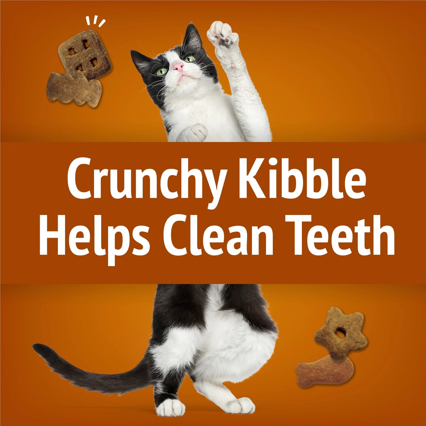 Purina Party Mix Cat Treats, Chicken Lover Crunch, 20 Oz Canister