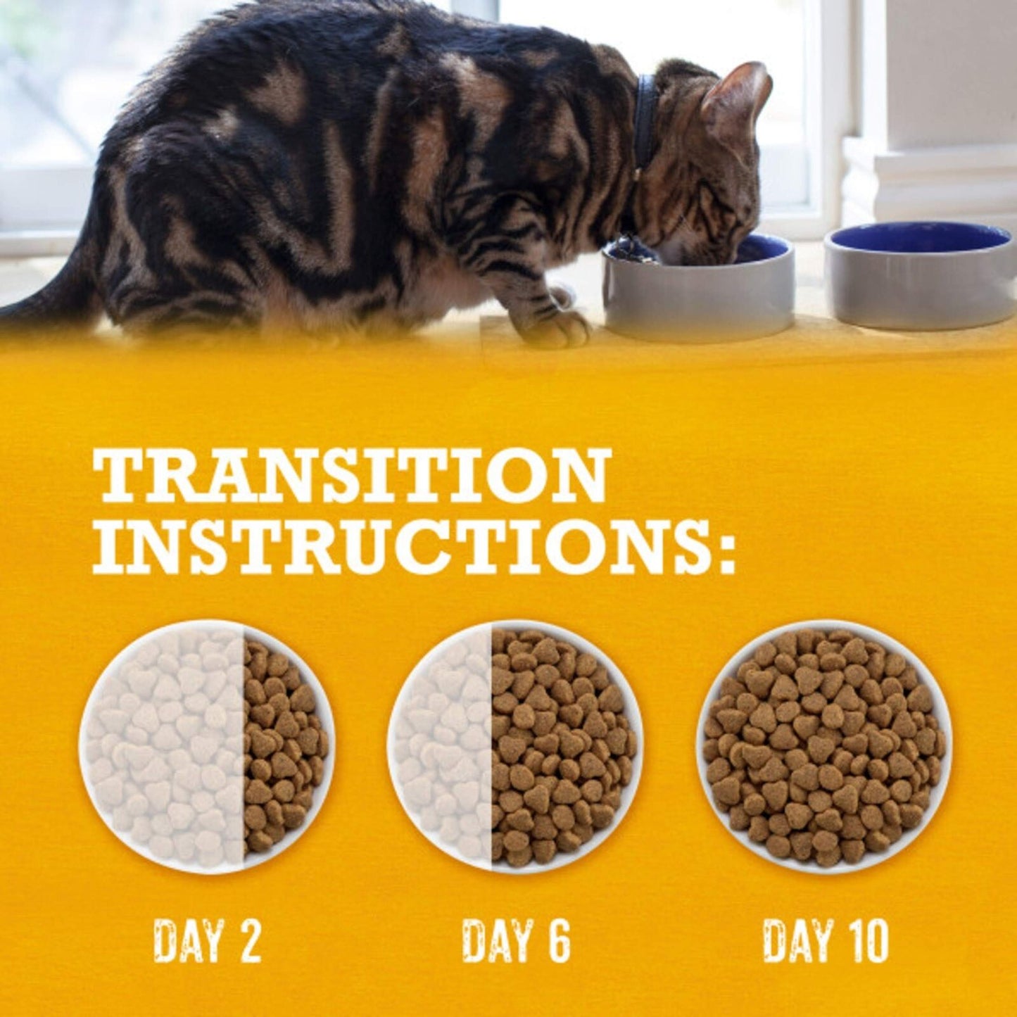 Purina beyond Grain Free, Natural Dry Cat Food, Grain Free White Meat Chicken...