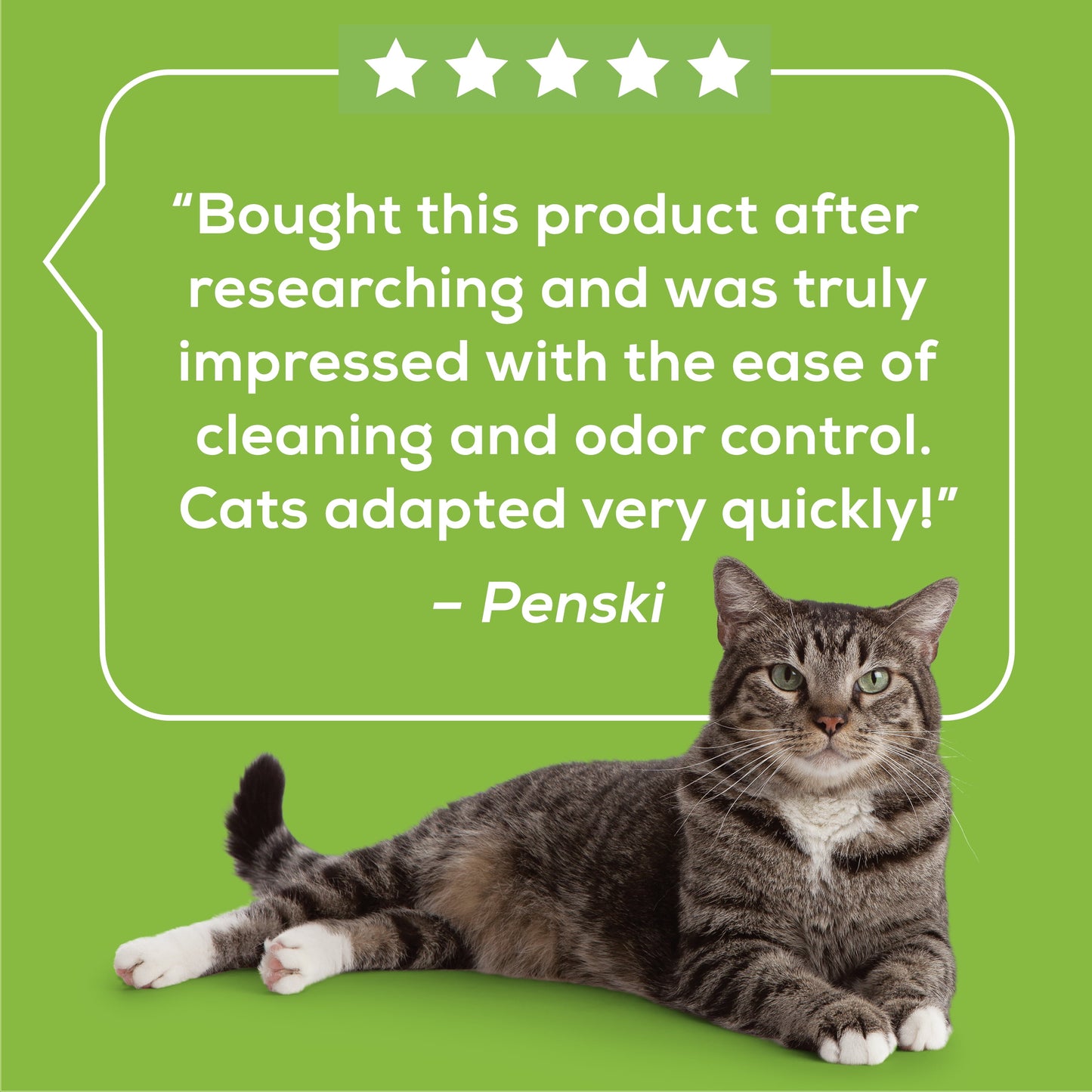 (6 Pack) Purina Breeze Absorbent Cat Litter Pads, Multi Strength, Odor Control, Refills, 8 Ct. Bag