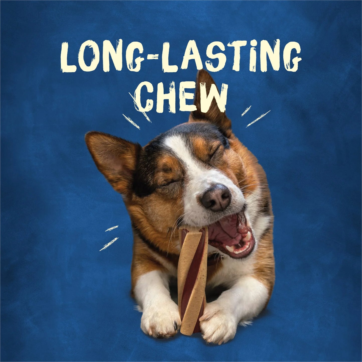 Purina with Beggin' Twist'D Small Dog Treats with Bacon Chews, 20.2 Oz Pouch (12 Count)