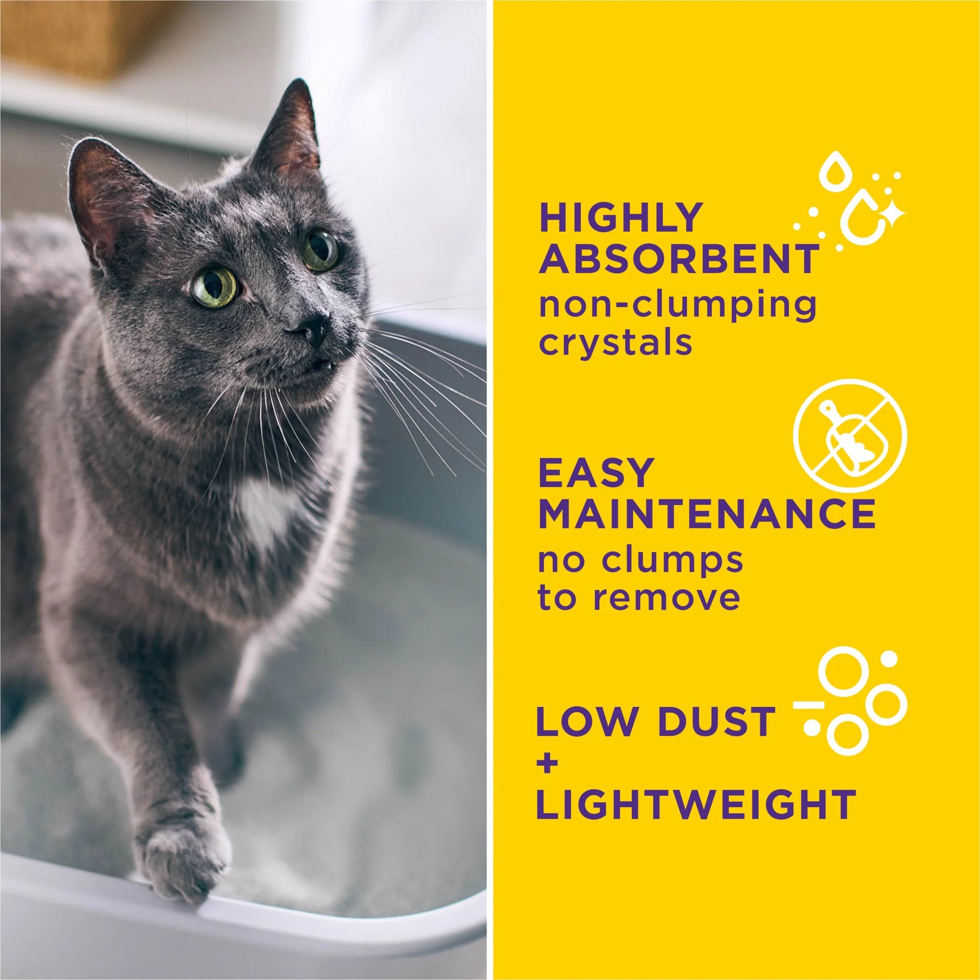 Purina  Tidy Care Alert Health Monitoring Cat Litter with Silica Crystals, 8 Lb Box