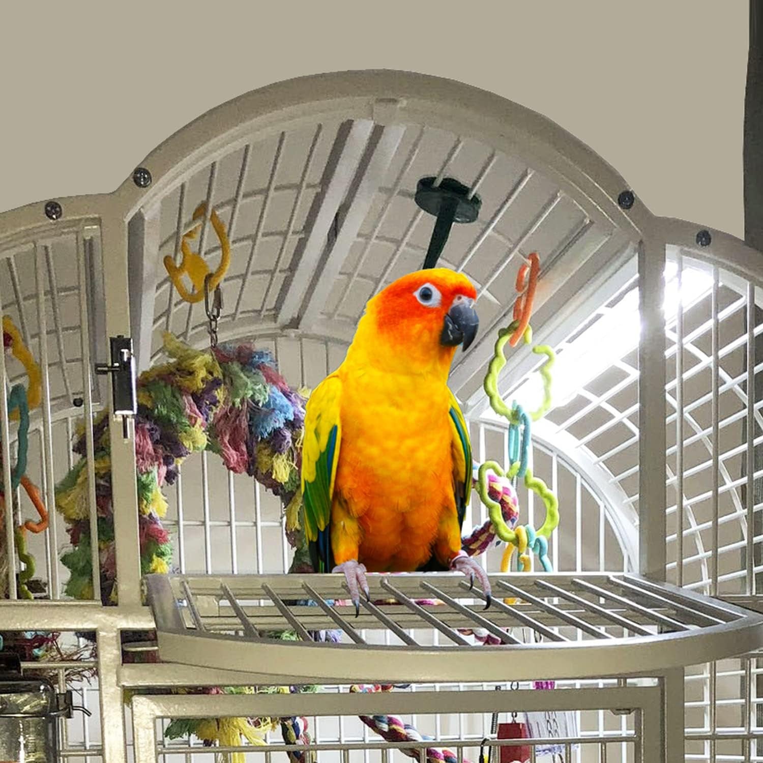 - Bird Cage Light for Soft Bill & Hook Bill Birds- Full Spectrum LED Pet Lamp (24" Hookbill Light)