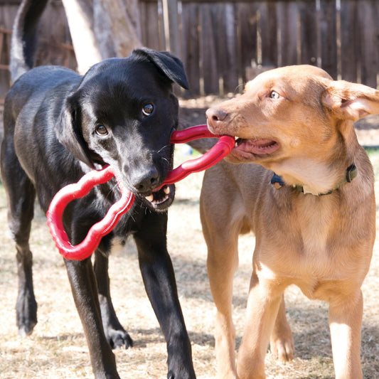 KONG - Tug - Durable Stretchy Rubber, Tug of War Dog Toy - for Medium Dogs