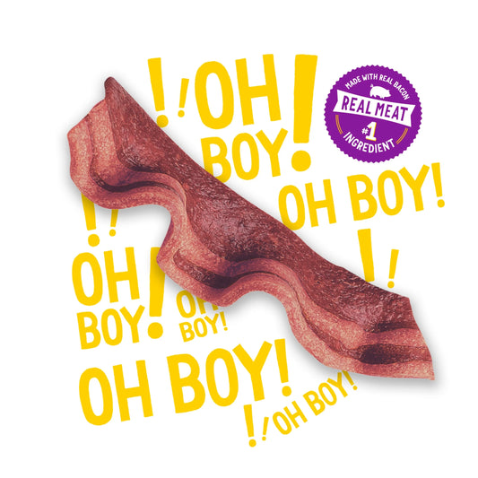 Purina  Strips Dog Treats with Real Bacon & Beef Flavors Tender Chews, 40 Oz Pouch