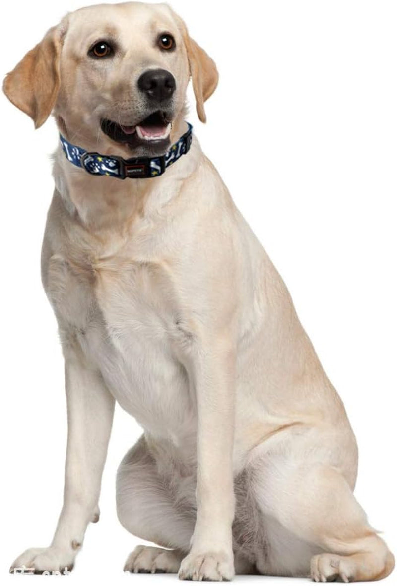 Adjustable Soft Dog Collar: Print Flower Pink Multicolor Cute Patterns for XS Small Medium Large Pet Girl Boy Puppy Walking Running Training (M, Bone)