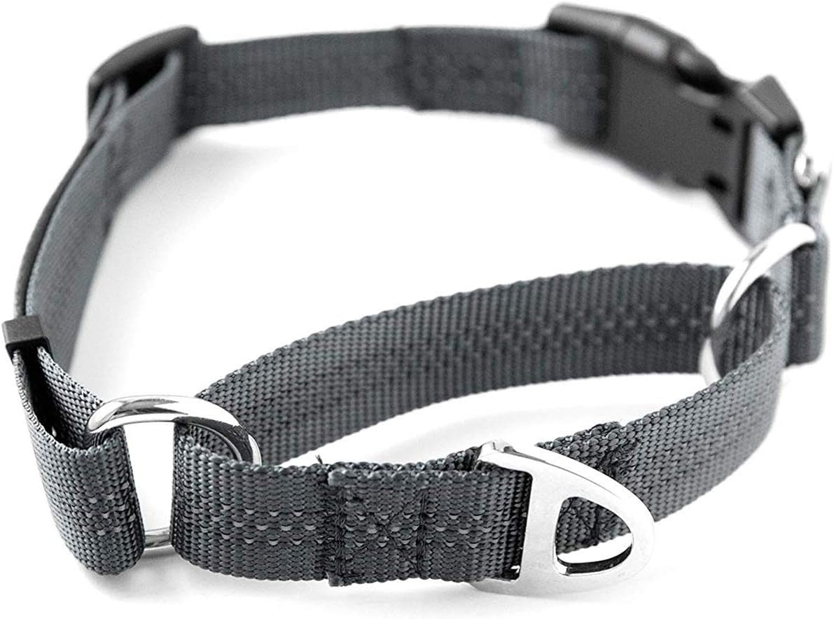 Martingale Nylon Training Collar. Our Trainer Approved Limited Slip Collar. Modified Cinch for Controlled Force for Optimal Training. Reflective Stitching to Keep Your Dog Safe