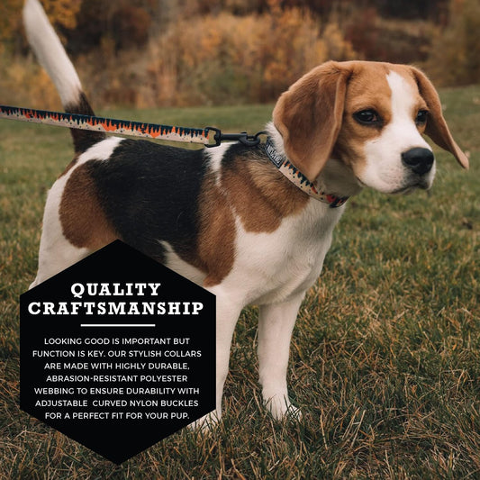 Wolfgang Heavy Duty, Adjustable Dog Collar with Quick Release Nylon Buckle for Walking & Training, Overland Print, Medium