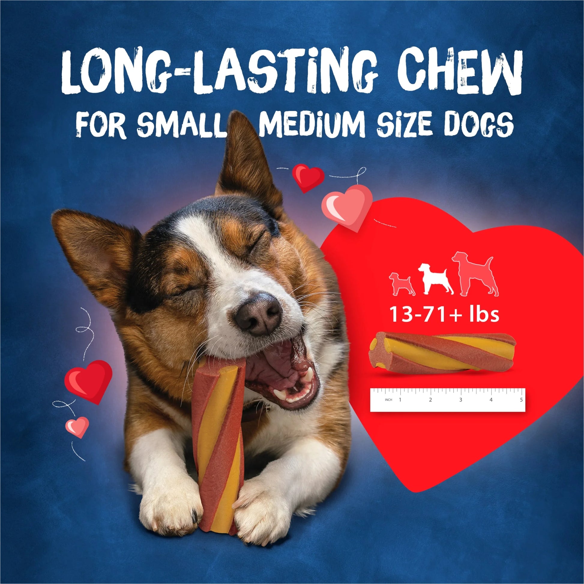 Purina  with Beggin' Twist'D Small & Medium Dog Treats with Cheddar, 36 Oz Pouch (10 Count)